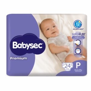 Pañitos Babysec Premium x 24